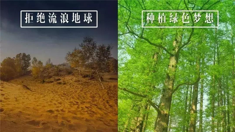 拒絕流浪地球，種植綠色希望